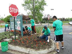 CommunityCleanup